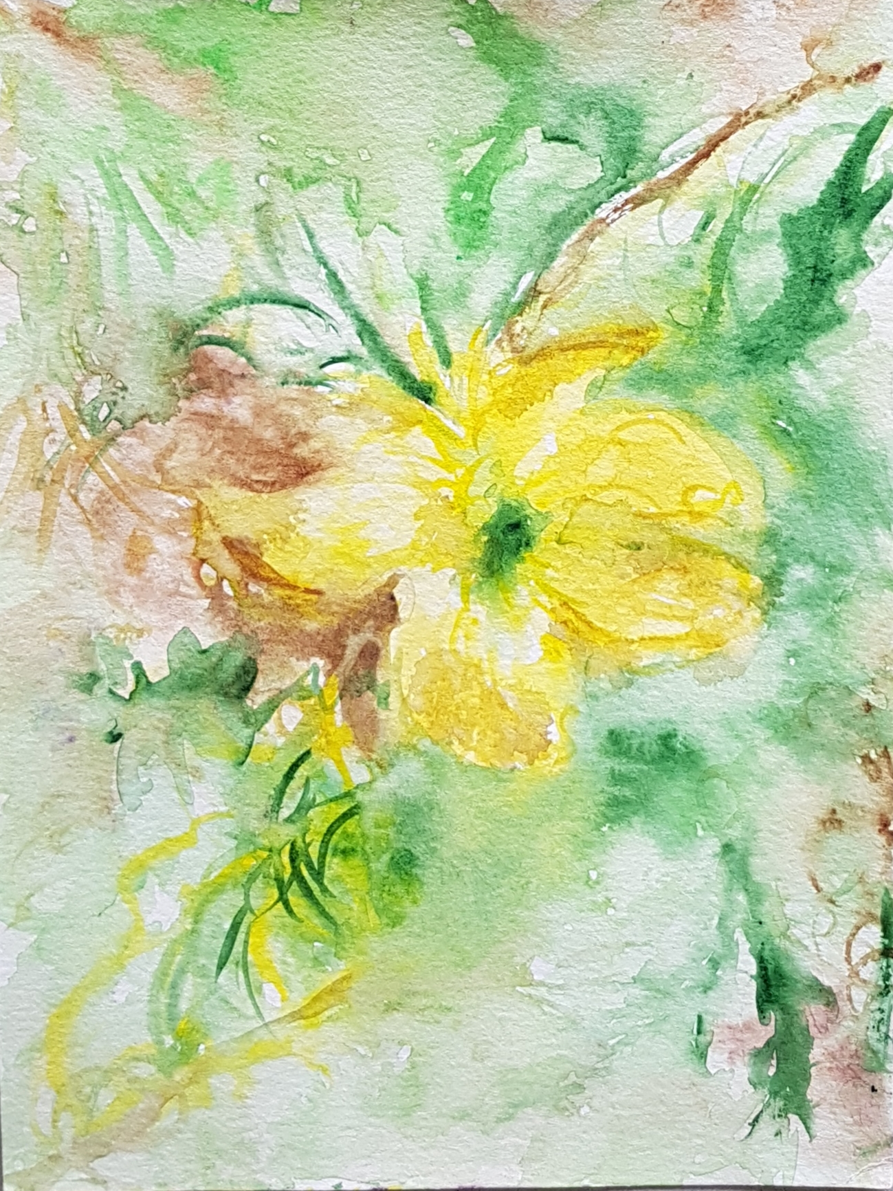 Kleine Blume Papier Aquarell 19,8x14,5 cm